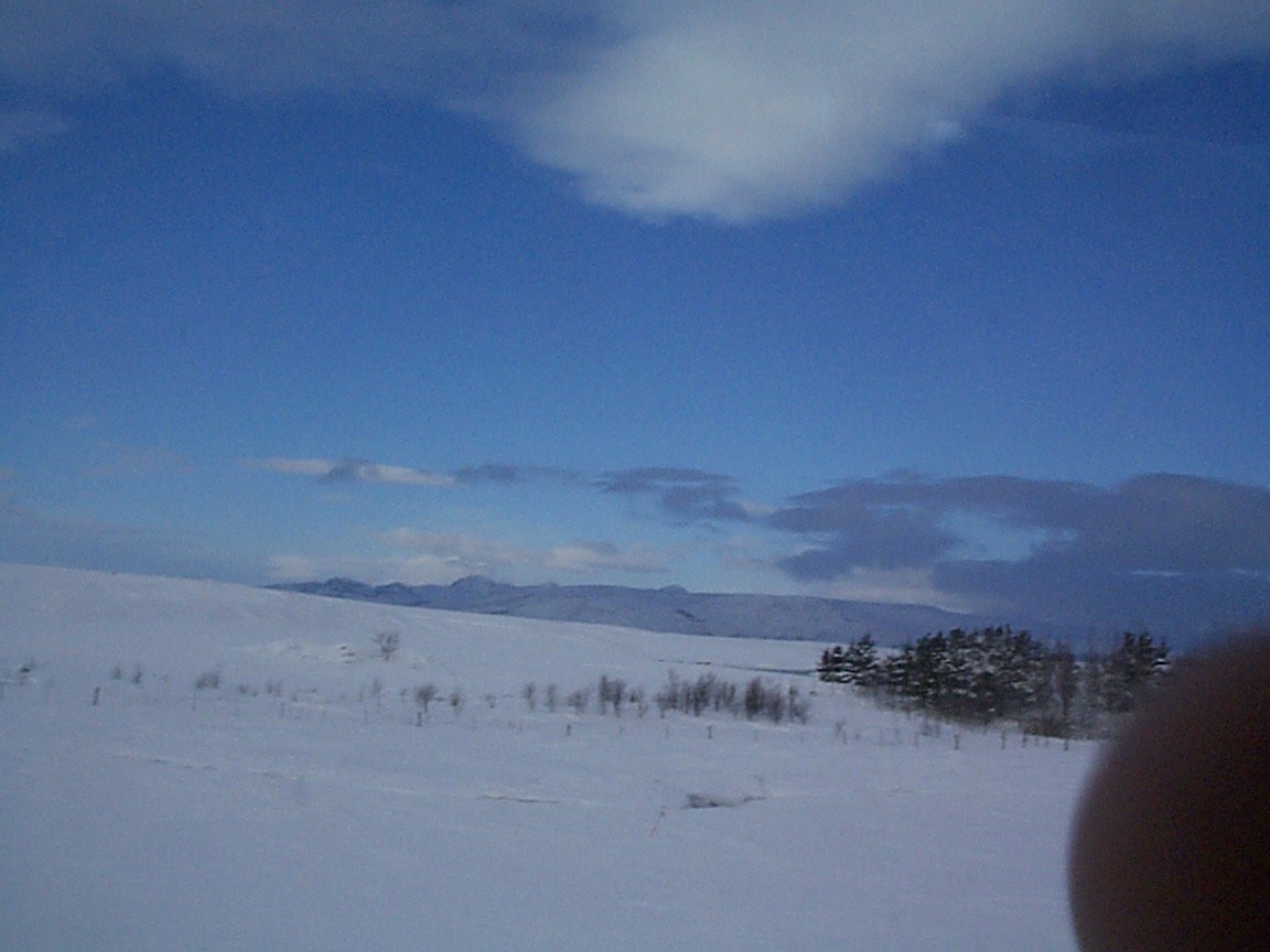 JPEG Image