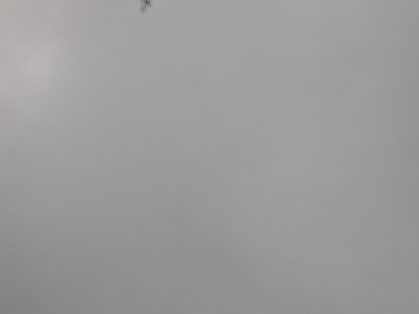 JPEG Image