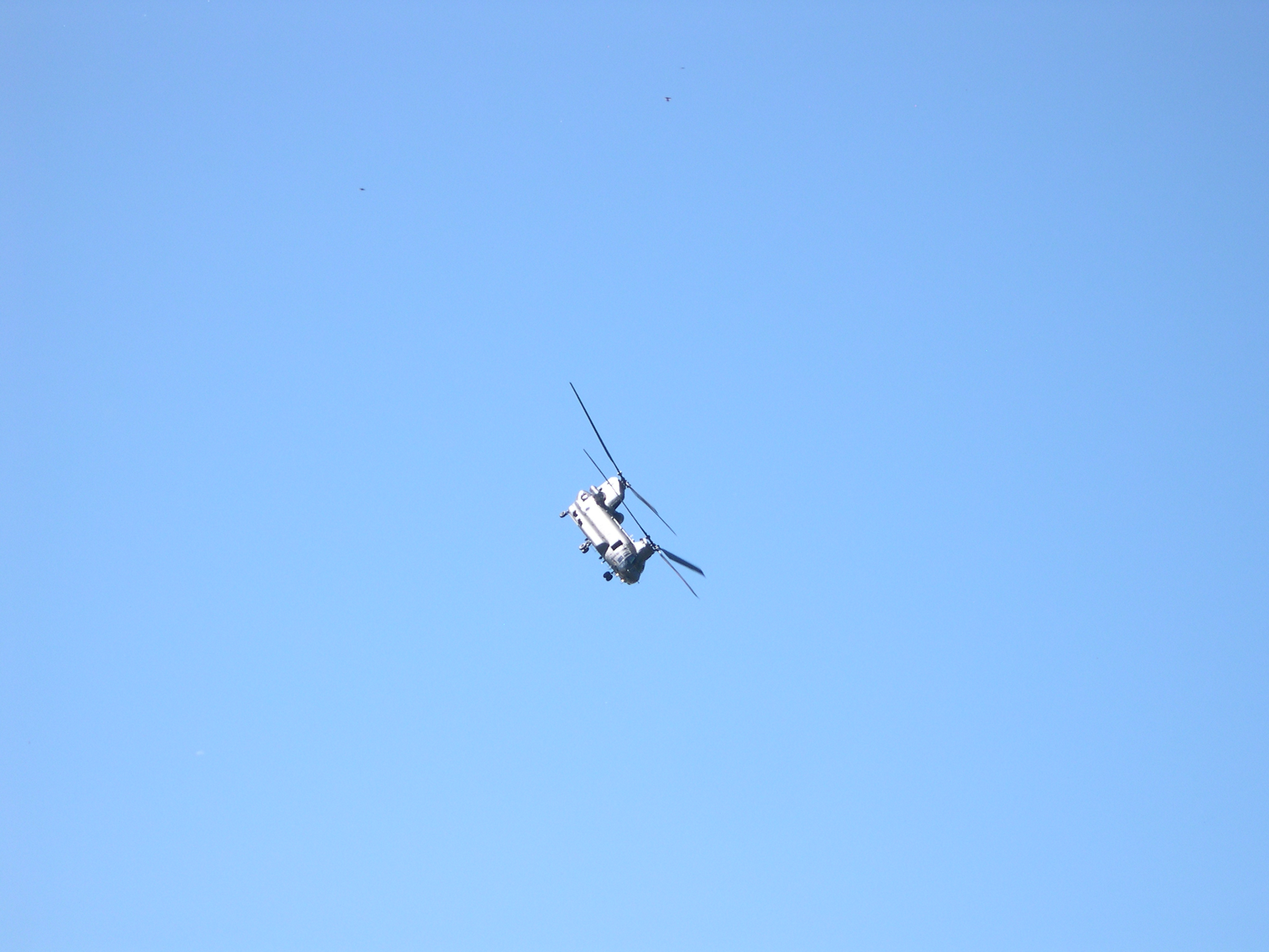 JPEG Image