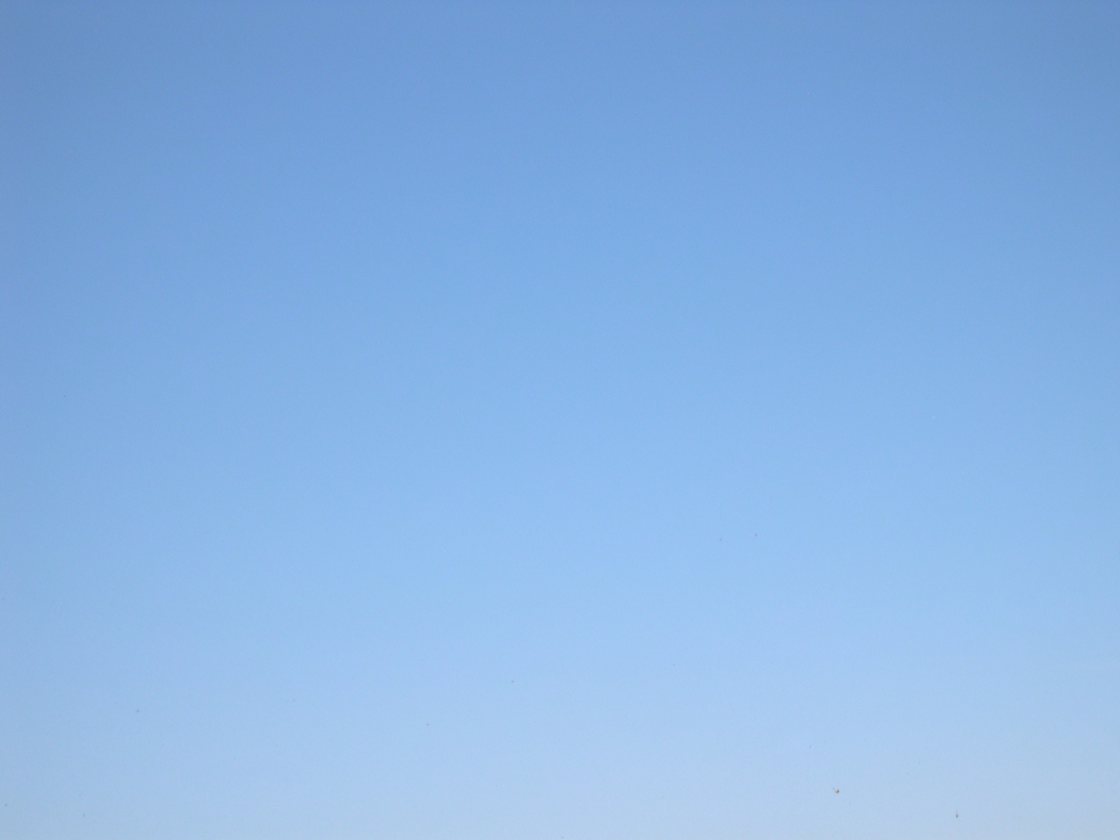 JPEG Image