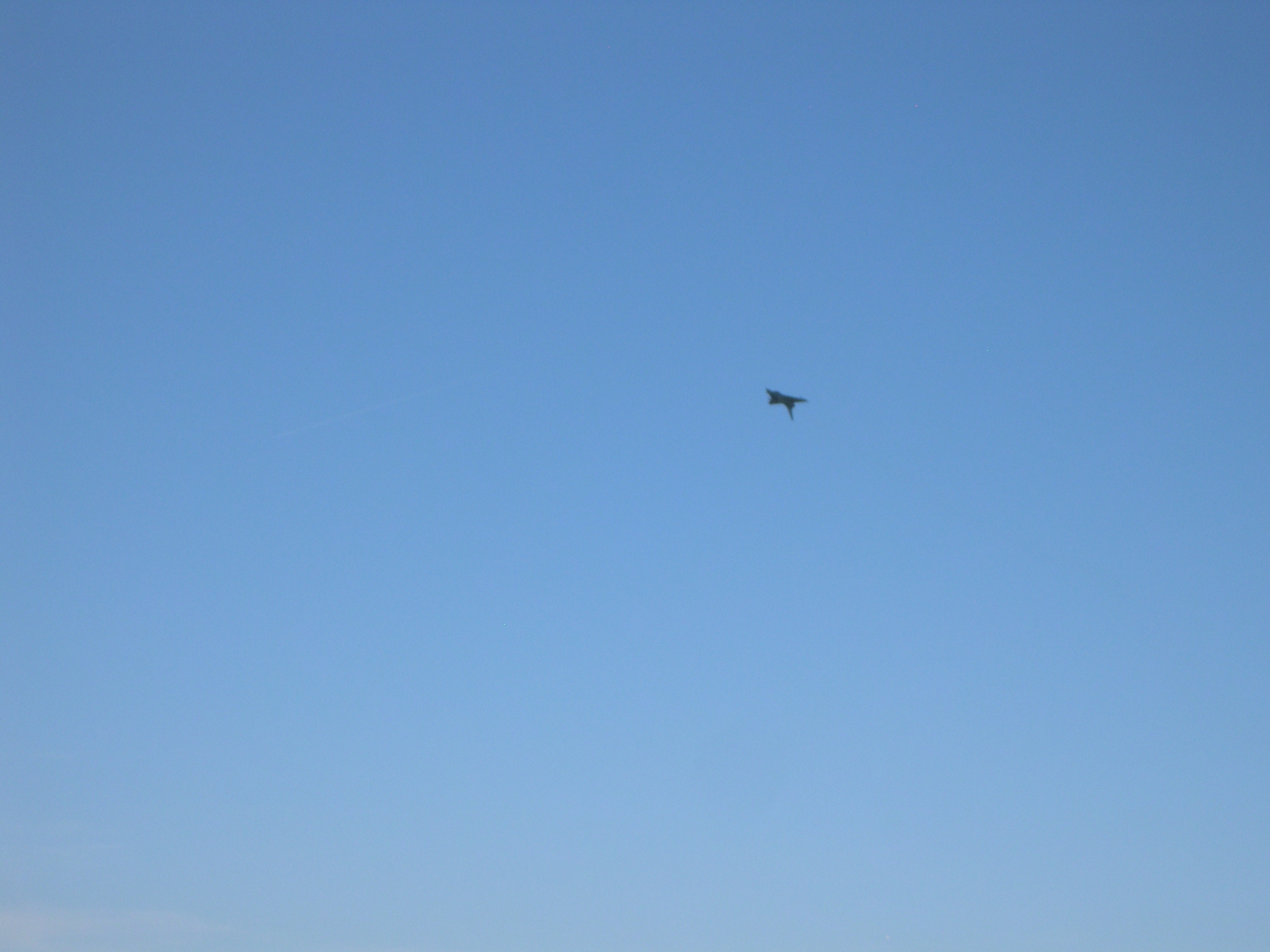 JPEG Image